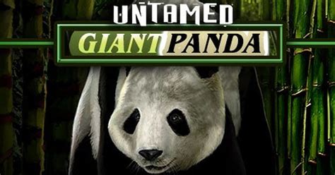 Untamed Giant Panda Blaze